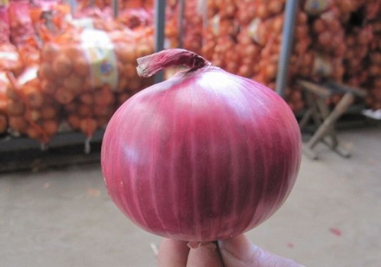 Kraken рабочая ссылка onion