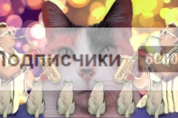 Даркнет вход