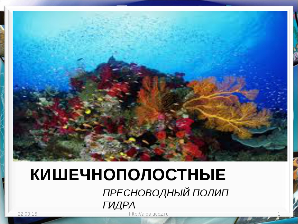 Как восстановить пароль на кракене